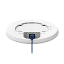 TAP200.10.webp